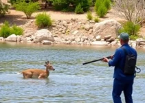Guía para obtener Licencia de Caza o Pesca en Andalucía (online)