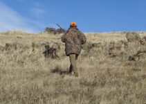 Gestiones para la Licencia de Caza en Madrid Gestiones para la Licencia de Caza en Madrid