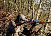 Orden de Vedas de Castilla y León Orden de Vedas de Castilla y León