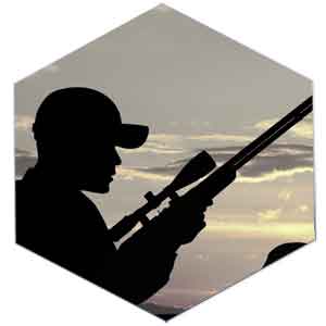 Licencia de armas de Tipo E: Armas deportivas y caza